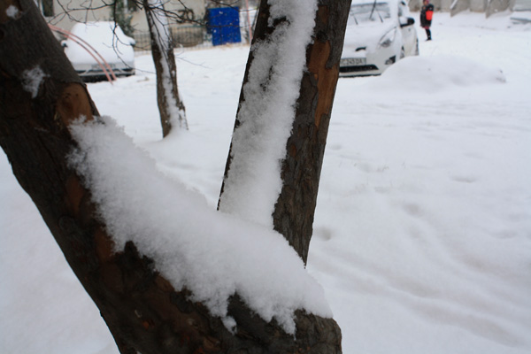 В Узбекистане установилась аномально холодная погода