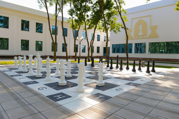 New children chess team opens in Tashkent