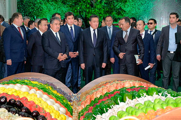 First Inter-regional forum Kazakhstan-Uzbekistan takes place in Shymkent