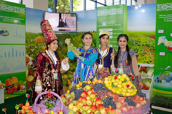 Uzbekistan to produce 8.235 million tonnes of fruits and vegetables in 2018