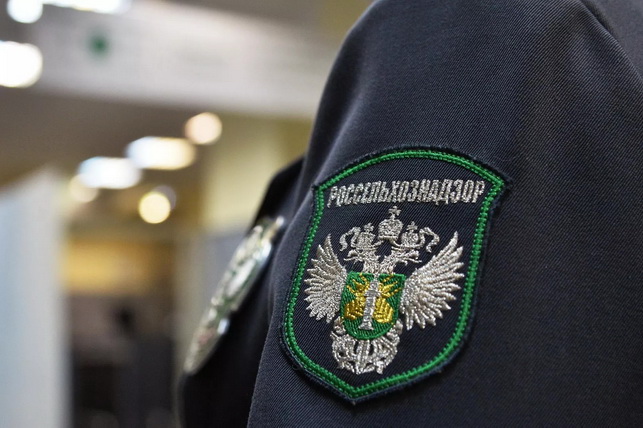 Краснодарда Ўзбекистондан келтирилган карантин зараркунандаси билан зарарланган хурмо партияси ушланди