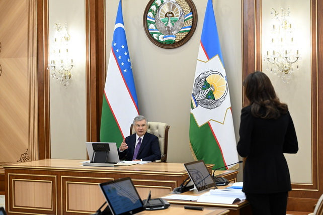 Mirziyoyev Reviews Healthcare Reform and Private Sector Growth