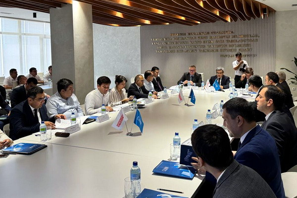 Results of the statistical assessment of the informal and shadow economy in Uzbekistan discussed