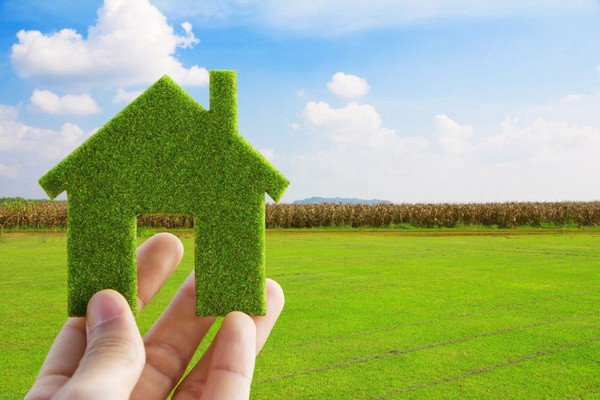 The registration of land plots is being completed without a decision on the allocation of land