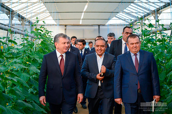 Presidents orders to create more modern green houses
