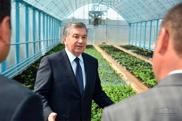 President of Uzbekistan calls to effectively use land resources