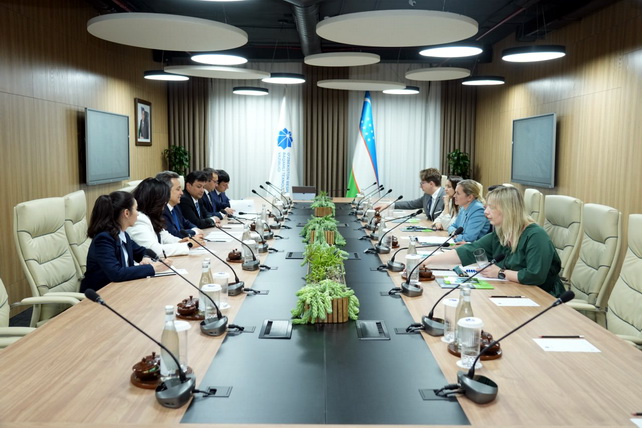 Uzbekistan and Poland Expand Partnership in IT and Educational Technologies