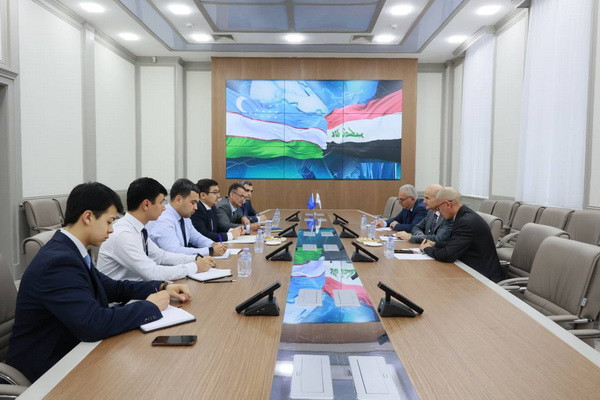 Uzbekistan - Iraq: Prospects for cooperation discussed