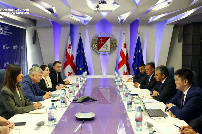 Uzbekistan and Georgia Strengthen Cooperation in Tax and Customs Policy