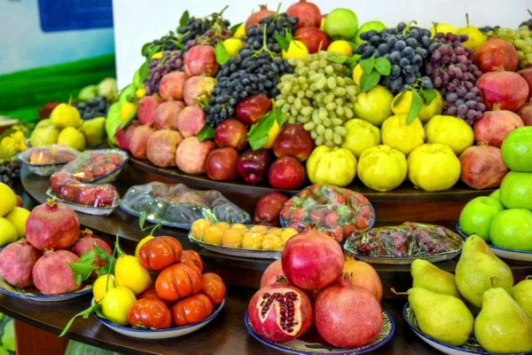 Uzbekistan produces 3.1m tones of fruits and berries in 2023