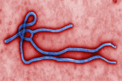 Uzbekistan suspends travels to and from Ebola-hit countries