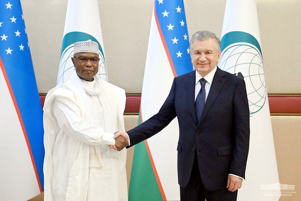 President of Uzbekistan, OIC Secretary-General discuss issues of further enhancing practical interaction