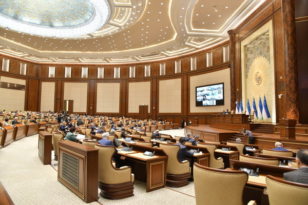 The twenty-fifth plenary session of the Senate starts its work