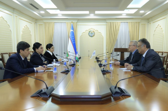 Uzbek Senate discusses youth and gender equality issues with OSCE representative