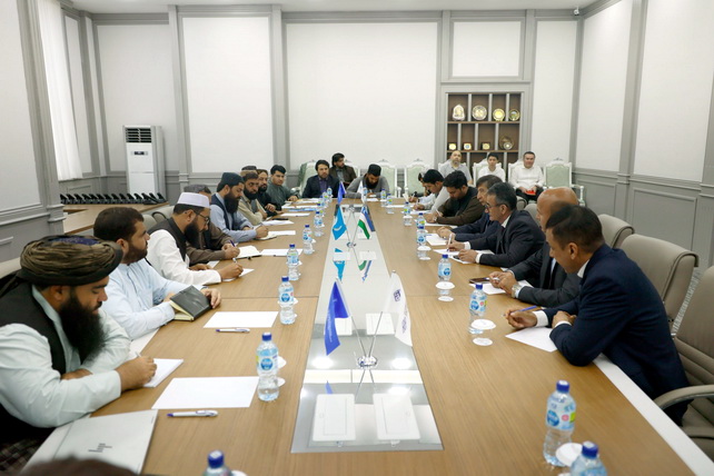 Uzbekistan, Afghanistan expand textile and agro-processing ties