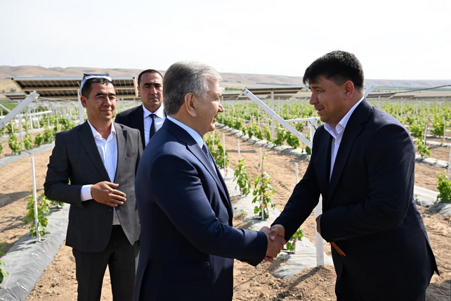 Мирзиёев ознакомился с агровольтаикой в Фергане