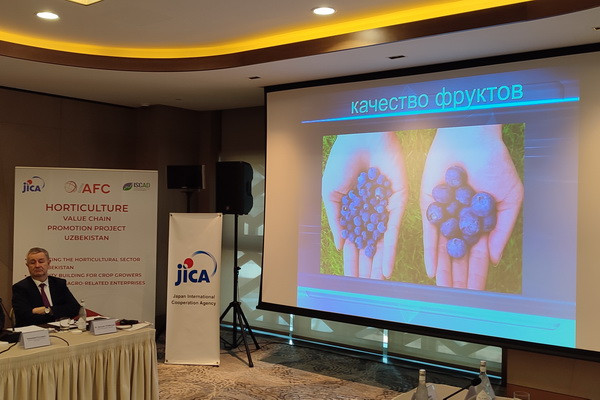 JICA’s Horticulture Project will support Blueberry cultivation in Uzbekistan