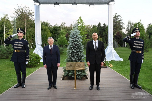 Presidents of Uzbekistan, Azerbaijan plant a tree together as a symbol of new aspirations