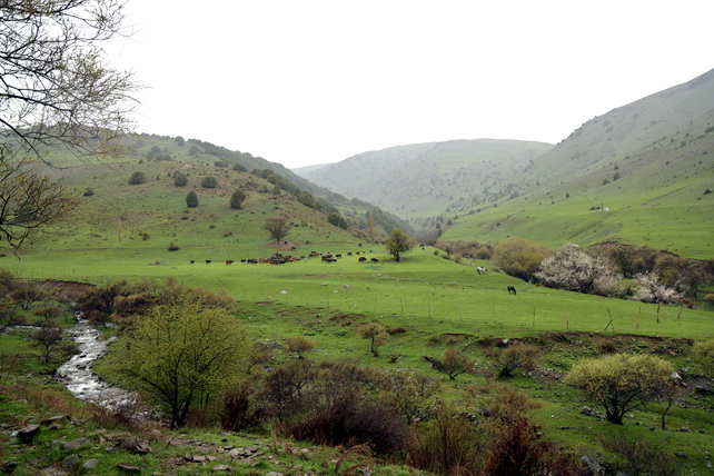 В Джизакской области рассмотрены перспективы внедрения водосберегающих технологий и развития климатически устойчивого садоводства