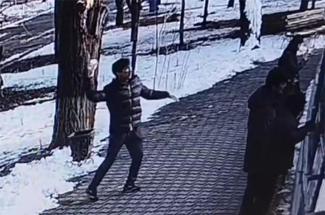 В Ташкентском зоопарке посетителей вывели за бросание снежков с камнями в тигров