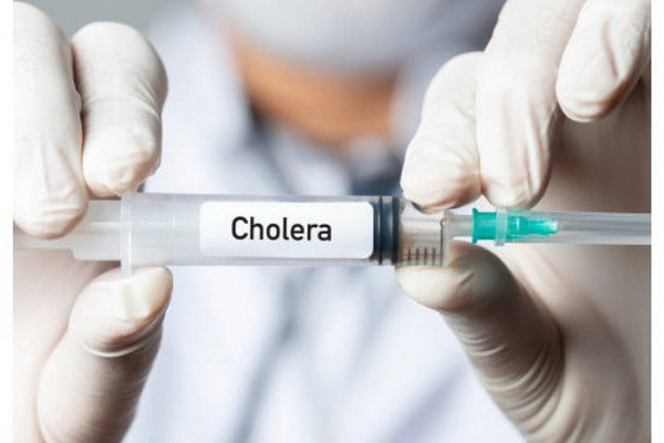 WHO: 27 countries reported cholera outbreaks