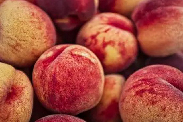 Uzbekistan Doubles Peach Exports: US$31.4 Million in Six Months