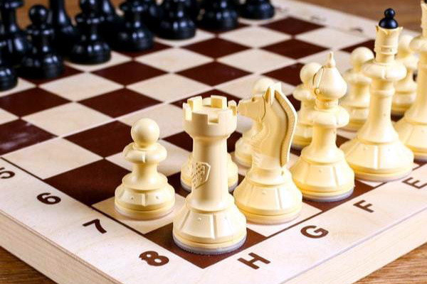 FIDE Opens Bidding for 2026 World Chess Match