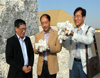 Uzbekistan inks contracts for export of 580,000 tonnes of cotton fiber