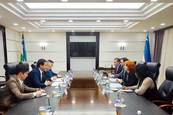 IFC Vice-President holds talks at Ministry of Investments and Foreign Trade