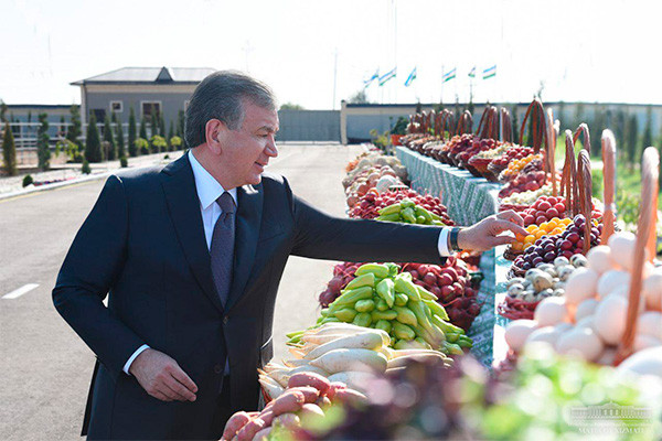 Shavkat Mirziyoyev pays visit to Yangiobod Invest Service
