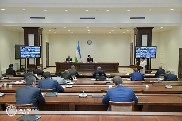 Senators approve the Strategy for Achieving Gender Equality in the Republic of Uzbekistan until 2030