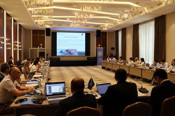 Uzbekistan celebrates World Day to Combat Desertification and Drought