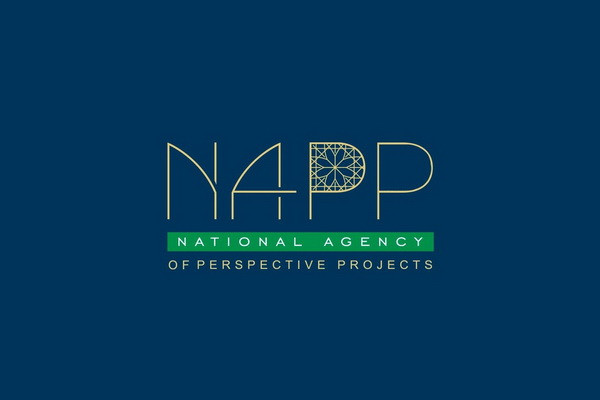 NAPP releases new clarifications on Hamster Kombat and Its Token HMSTR