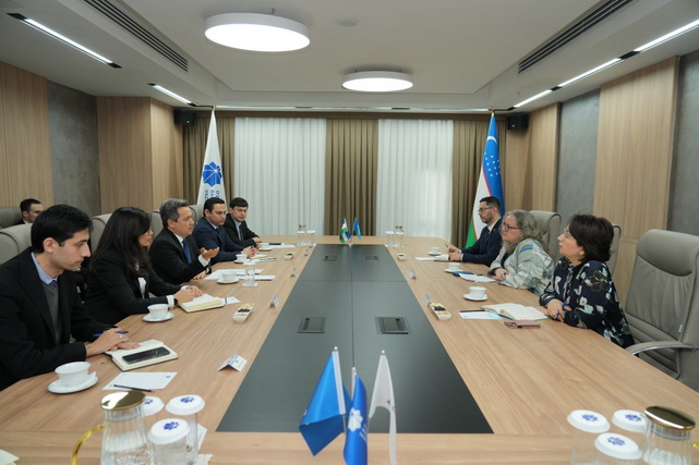 Uzbekistan and the UN Discuss Prospects for Further Digitalization Development