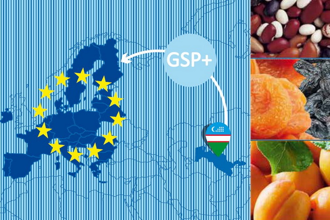 Ўзбекистон Европа Иттифоқи бозорига экспорт қилиш бўйича кўрсатмалар тайёрлади