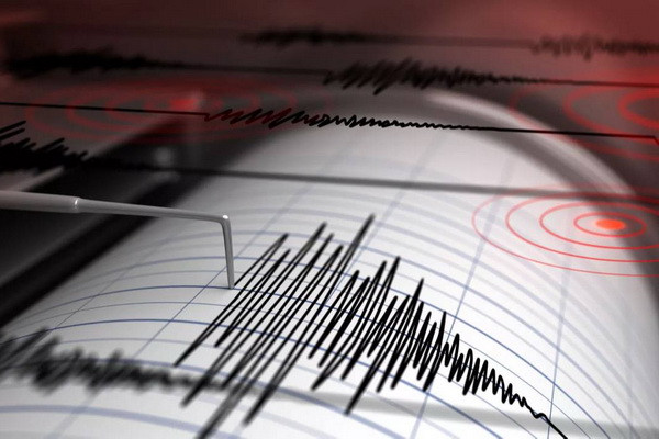 Residents of Tashkent feel a 4-point earthquake