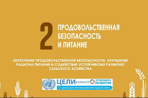 State Statistics Committee improves methodology for SDG indicators