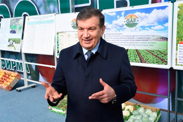 Президентимиз Шавкат Мирзиёев янги лойиҳалар билан танишди