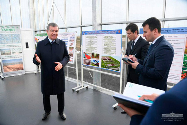 Foreign enterprise launched in Free Economic Zone set up by Presidential Resolution