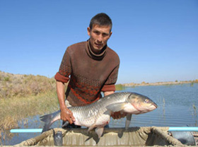 Fish breeding develops in Aral Sea area