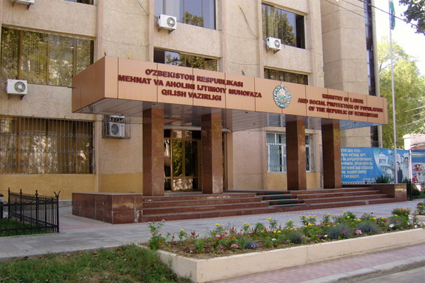New minister of labour and social welfare appointed in Uzbekistan
