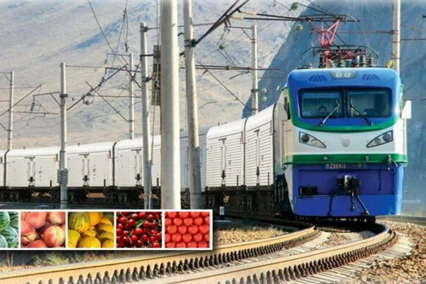 2017-2023 йиллар оралиғида Ўзбекистонда транспорт турлари бўйича юк айланмасида қандай ўзгаришлар бўлди?
