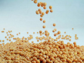 Uzbekistan to buy 50,000 tonnes of soy-bean annually