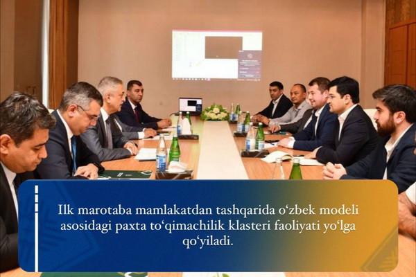 Cotton-textile cluster based on the Uzbek model to be launched in Azerbaijan