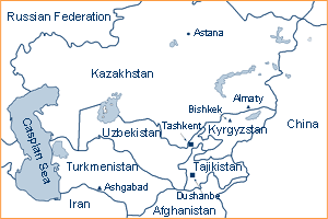 Iranian foods displayed in Uzbekistan Festival