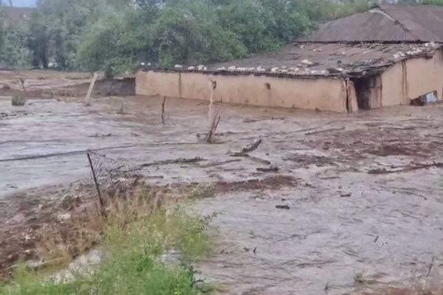 В Бухарской области образовалось новое крупное озеро