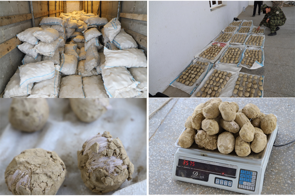 Uzbekistan seizes over 154 kilograms of narcotic drugs