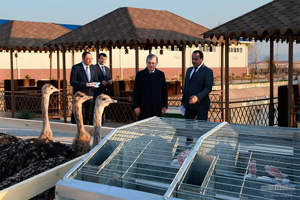 President visits new fish farm in Karmana