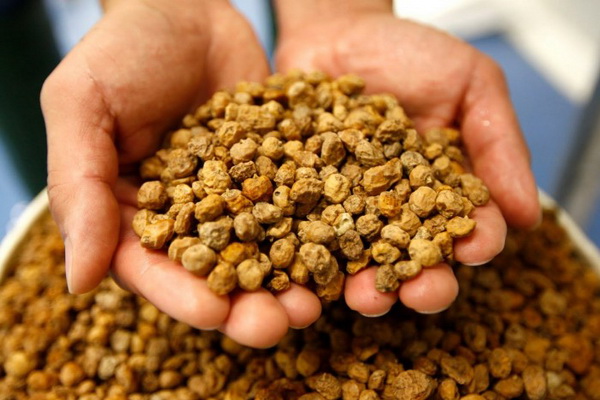 The prosecutor’s office reveals violations of storage of seed seeds