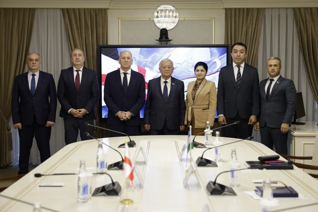 Senatda Gruziyaning elchisi bilan uchrashuv bo‘lib o‘tdi